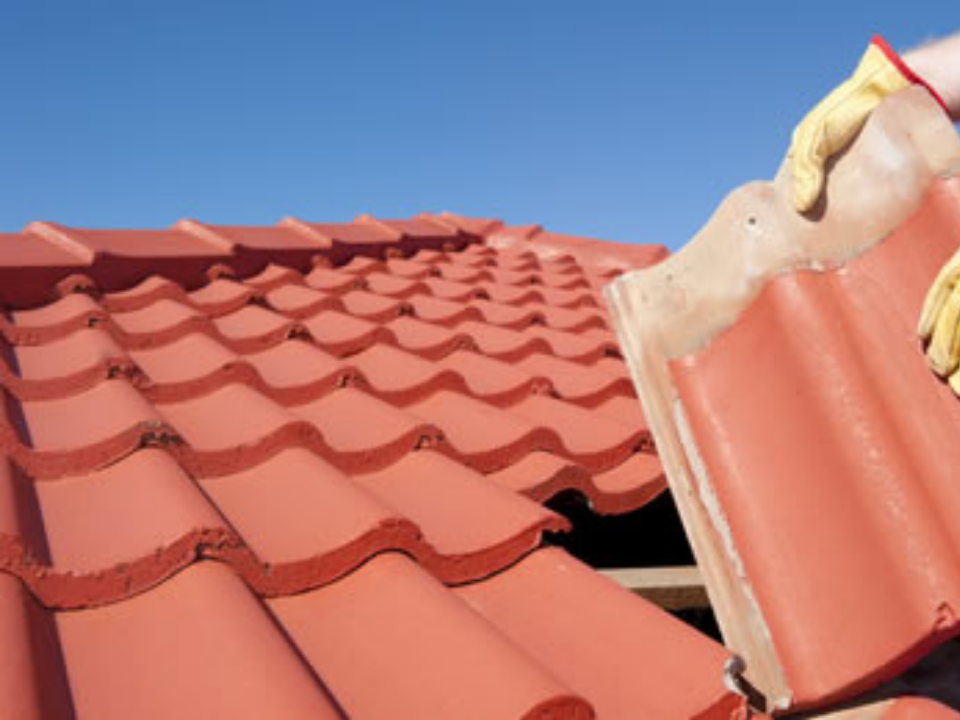Complete Property Care gallery image 4