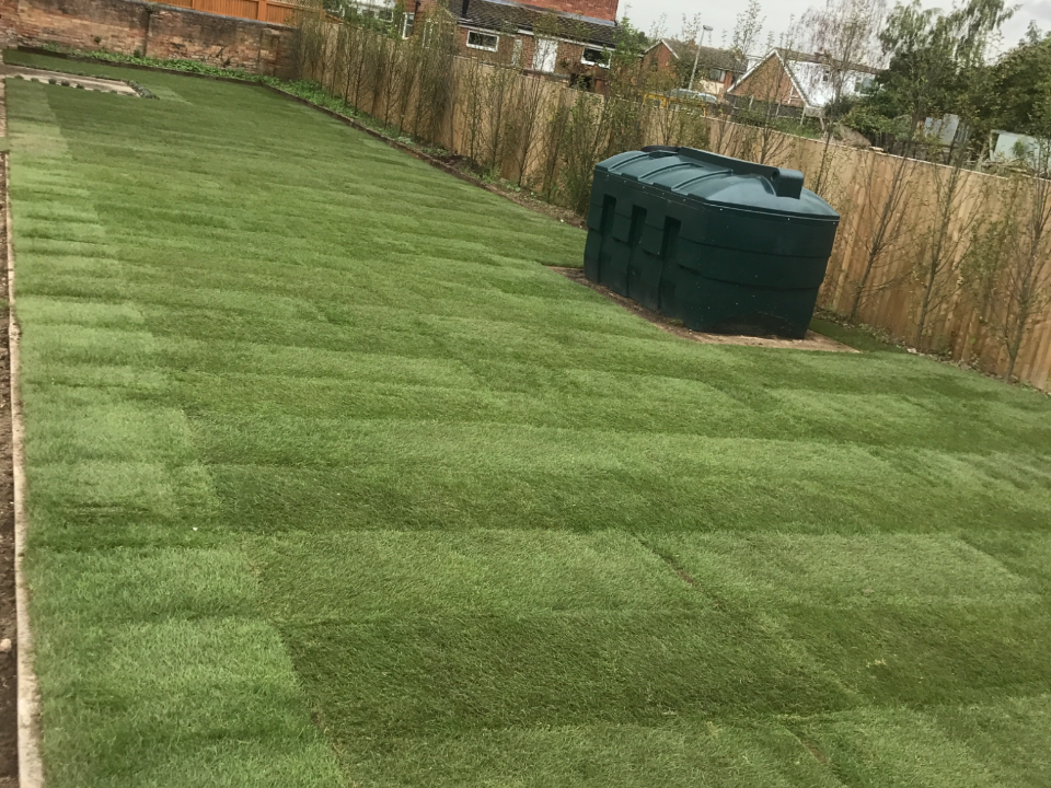 Lauderdale Landscaping gallery image 4
