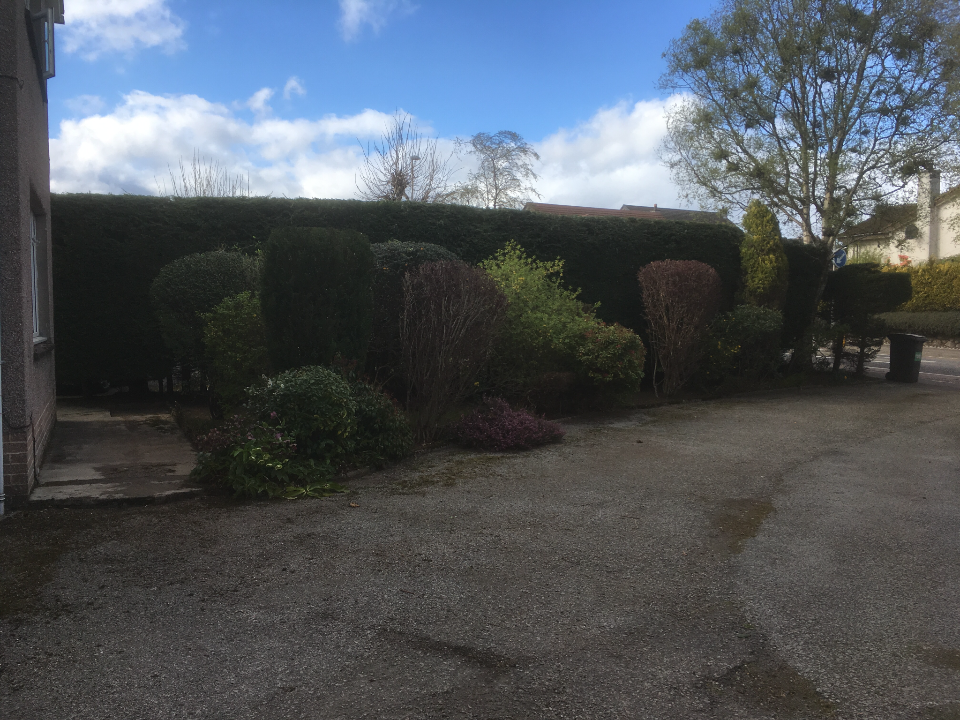 S.G GARDEN SOLUTIONS LTD gallery image 2