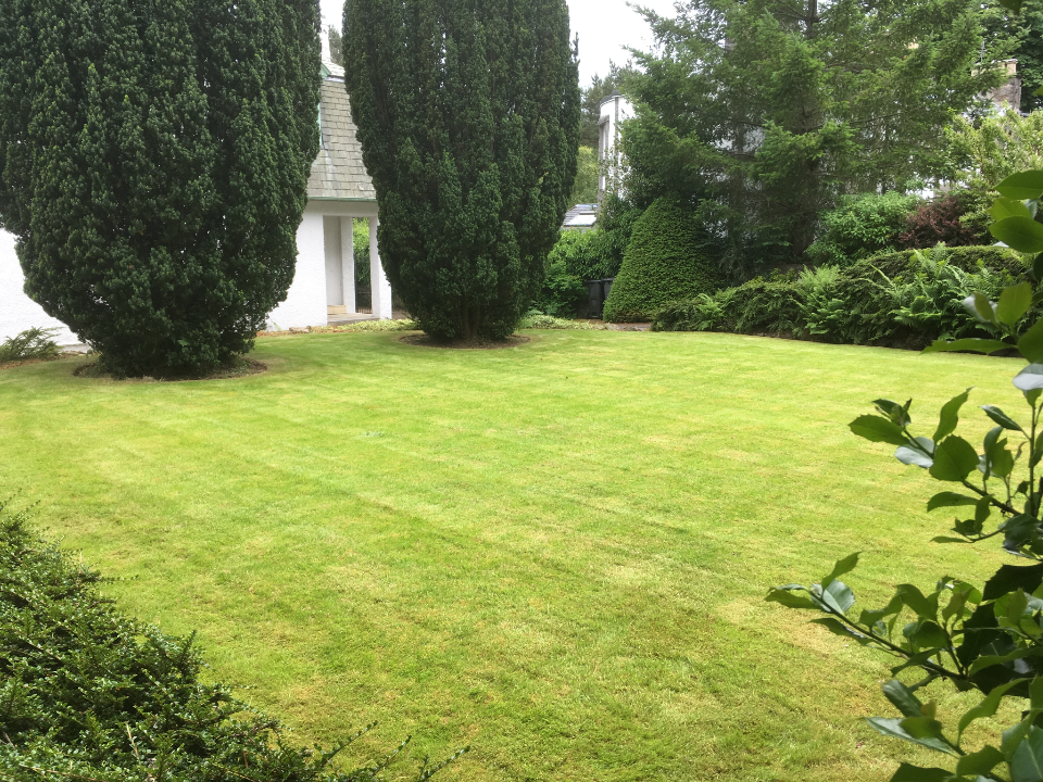 S.G GARDEN SOLUTIONS LTD gallery image 3