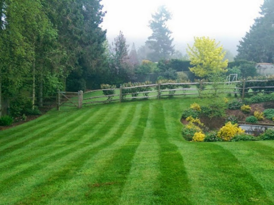 JB Sims Garden Care gallery image 2