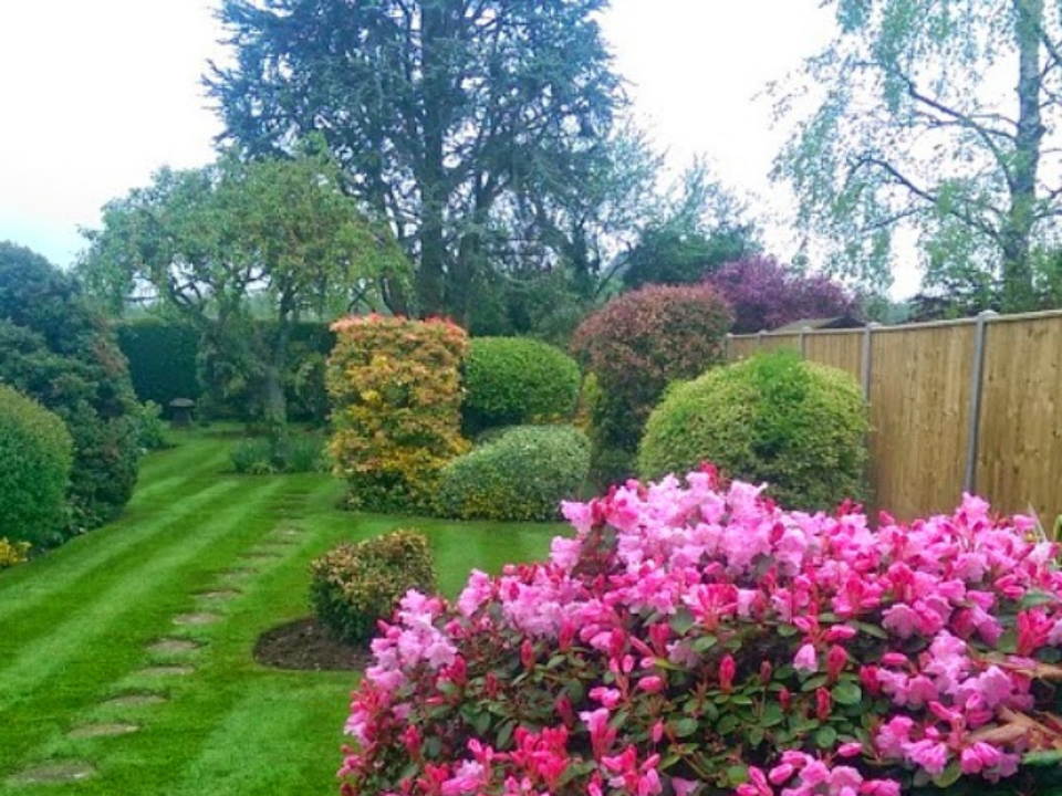 JB Sims Garden Care gallery image 4