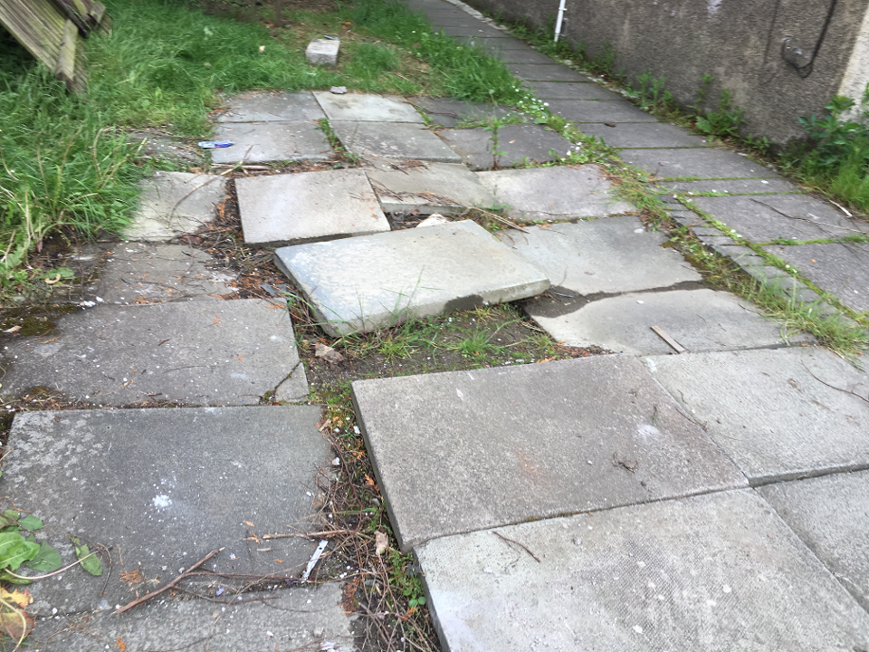 PS Landscaping gallery image 4