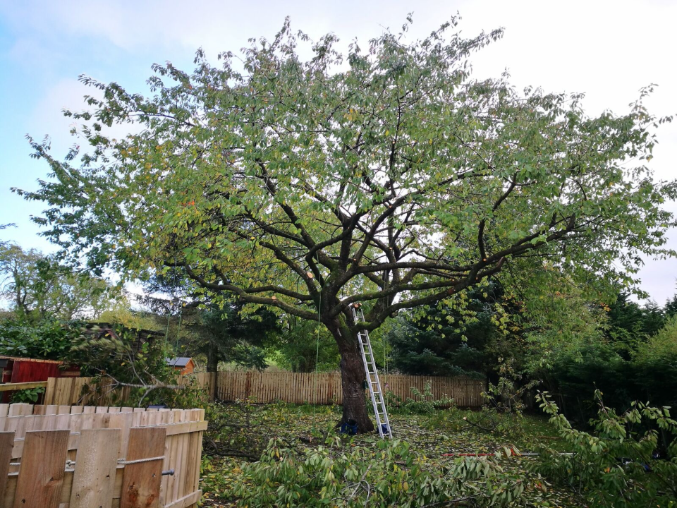 A. MARSHALL TREE SERVICES LIMITED gallery image 3