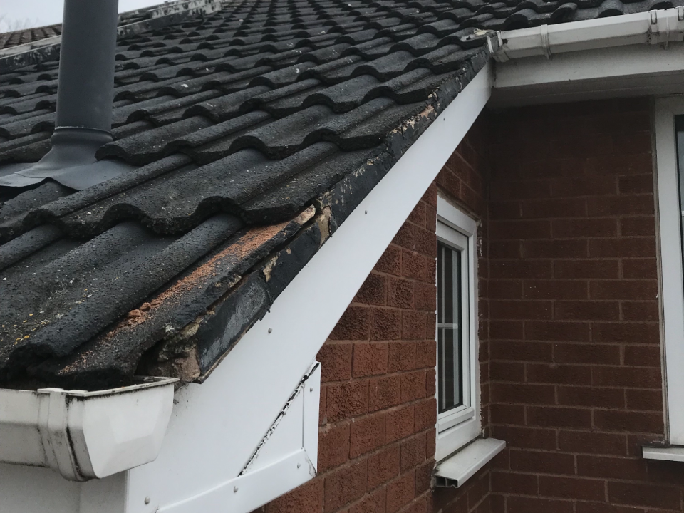 Future Proof Roofing & Building gallery image 1