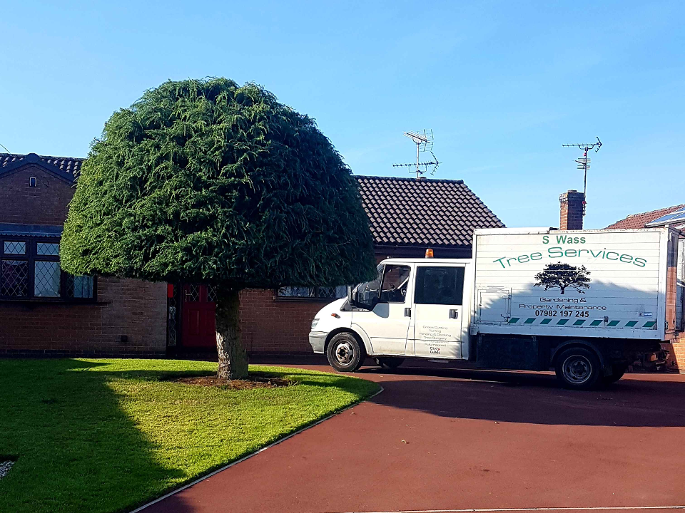 S Wass Tree Services gallery image 3