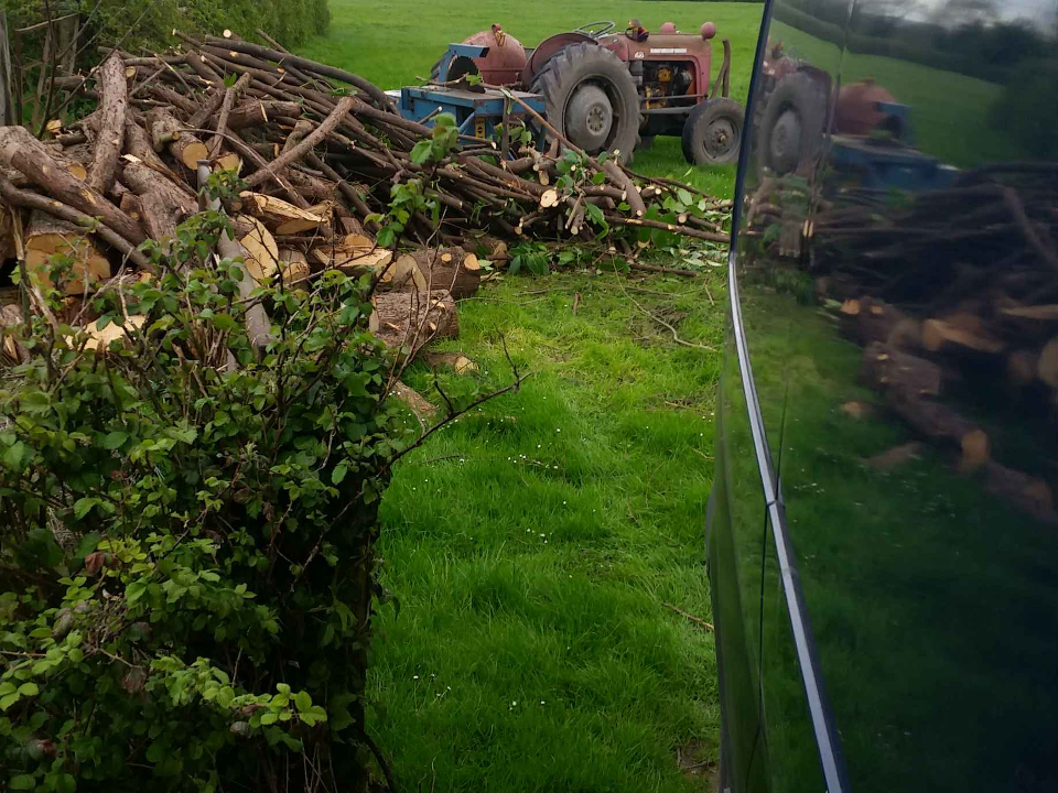 AA Tree Surgeon & Landscaping gallery image 2