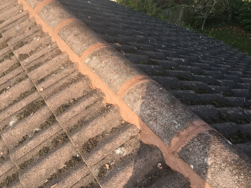 Ridge’s pointed