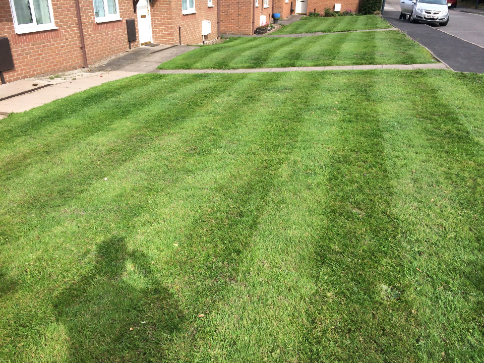 RILEYS Group LTD gallery image 1