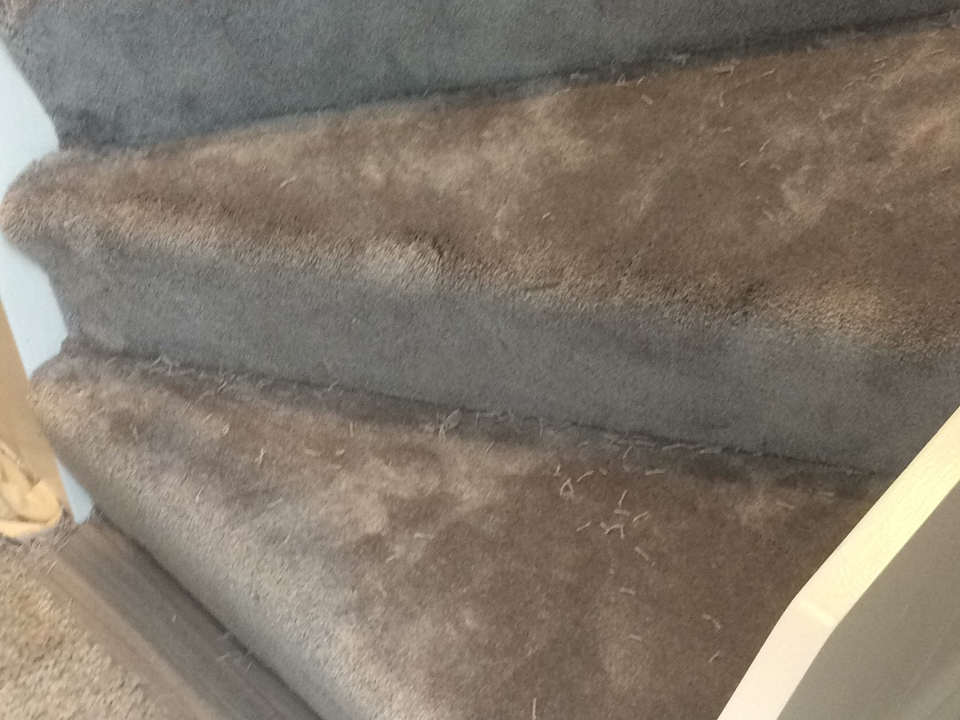 M&N Carpets and Flooring gallery image 2