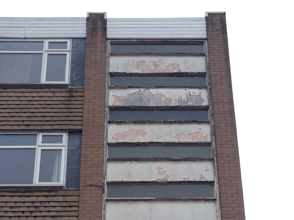 AVT Building Services gallery image 2