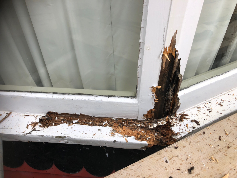 Professional Property Maintenance gallery image 3
