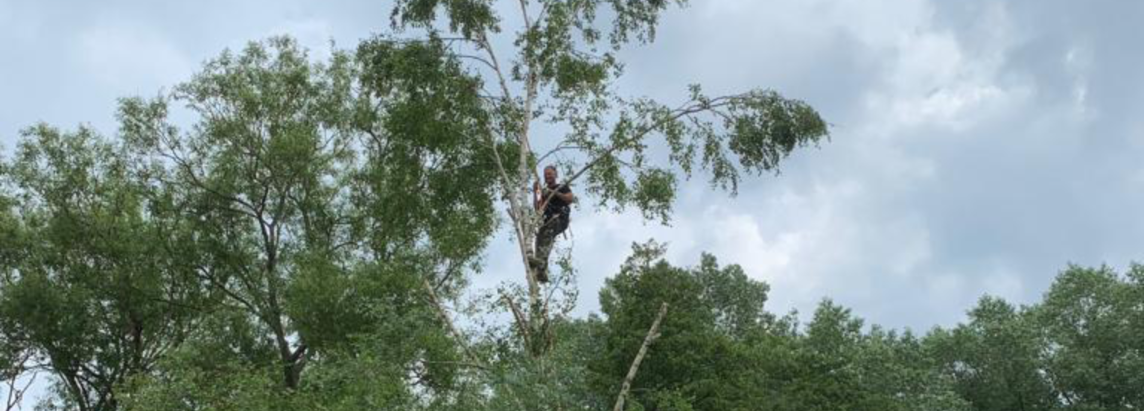 Jac Tunley Tree Surgery
