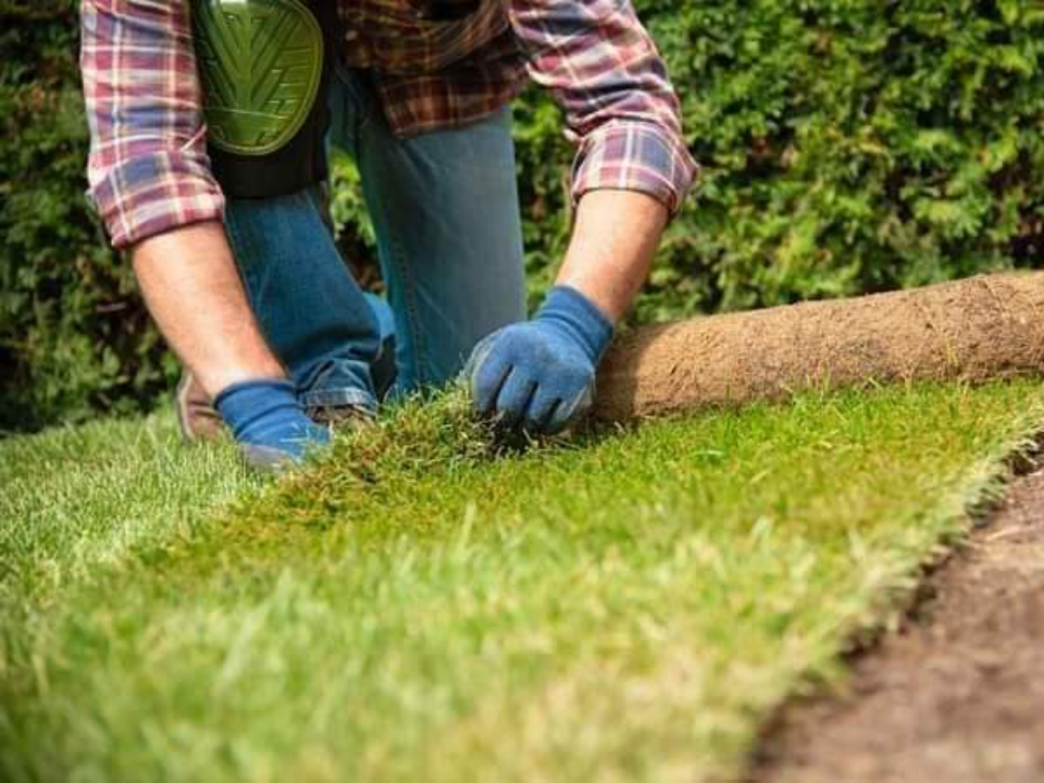 PAVE MAX PAVING & LANDSCAPING gallery image 3