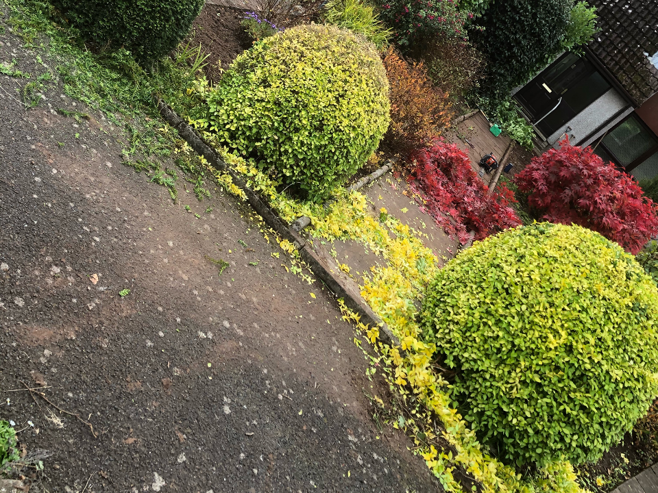 Bloomin’ Group gallery image 2