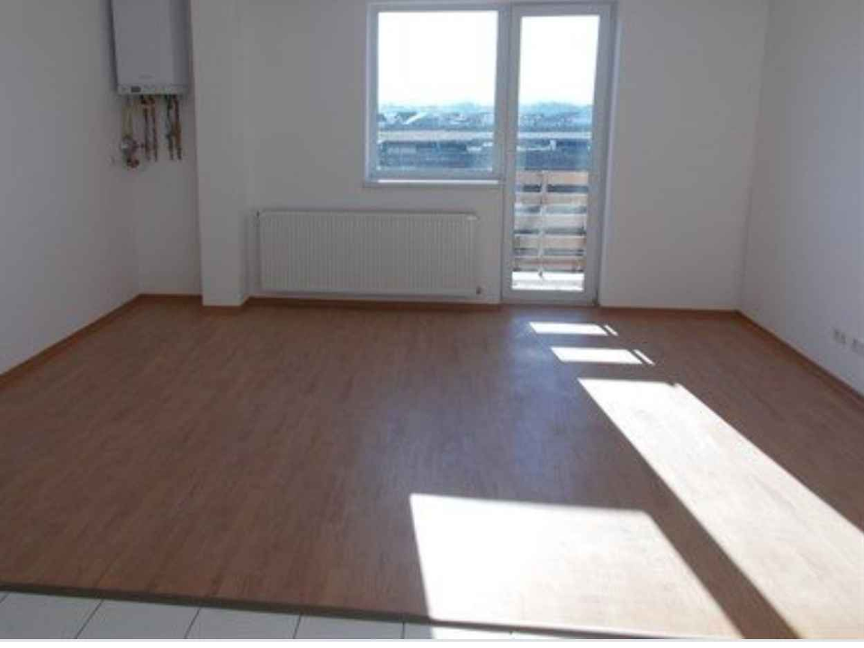 Dascalu Stefan LTD gallery image 1