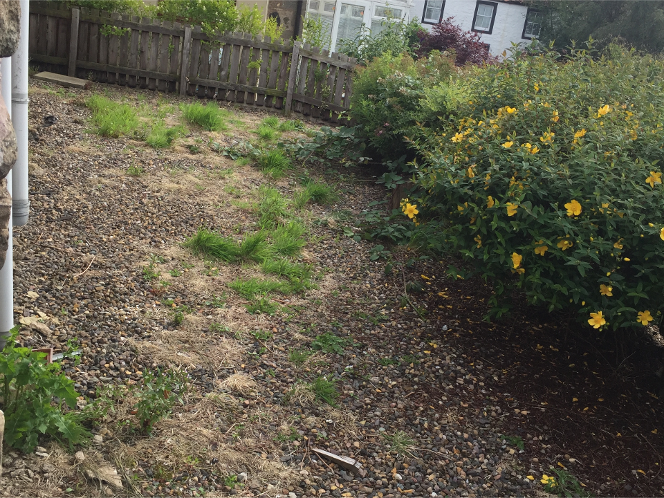 Alpha Landscaping gallery image 3
