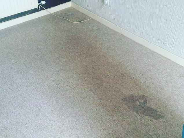 S&C Cleaning Services gallery image 1