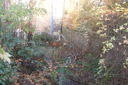 Bucklemond Horticultural Services gallery image 2