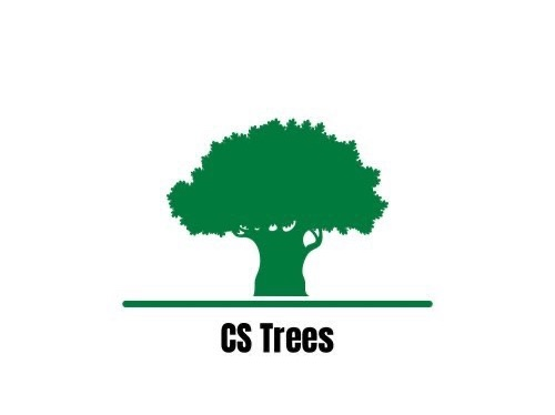 CS Trees gallery image 1