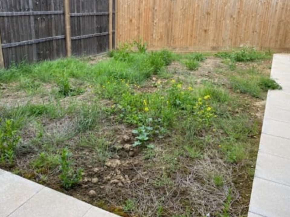 KTC Landscapes gallery image 1