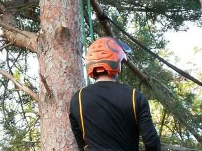 Oakwood Tree Care & Landscaping gallery image 3