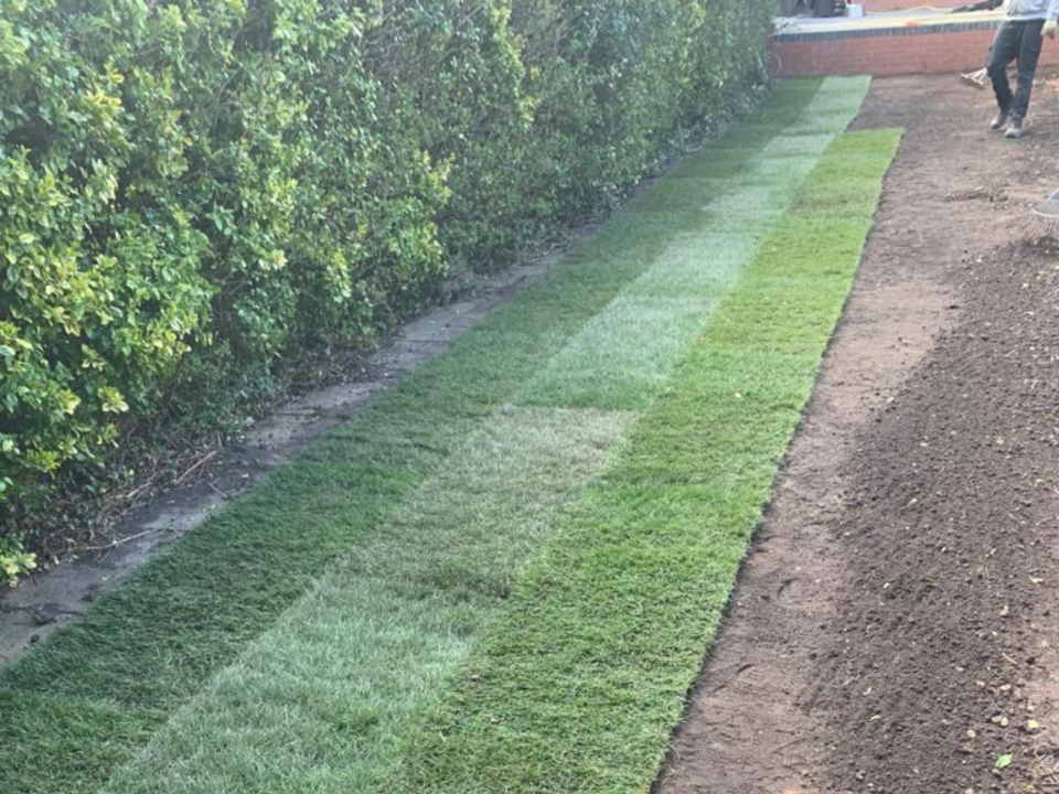 E.C Garden Services gallery image 2