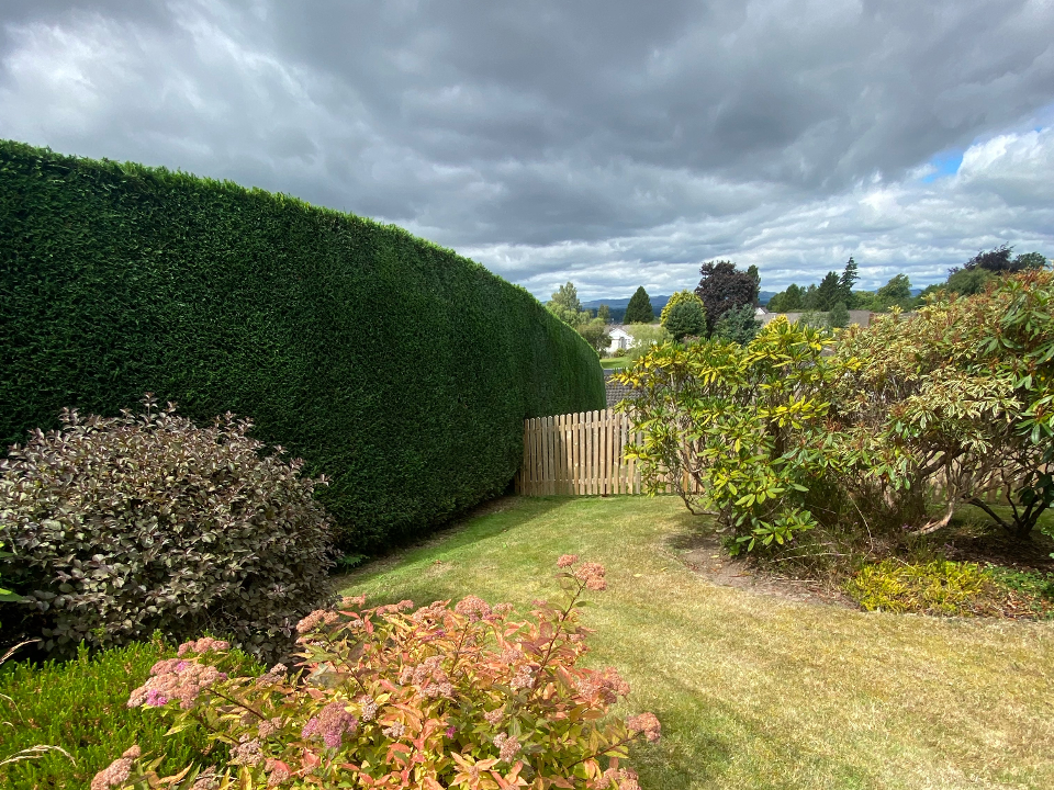 Hendersons Ground Maintenance & Gardening gallery image 1