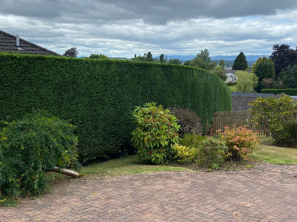 Hendersons Ground Maintenance & Gardening gallery image 2