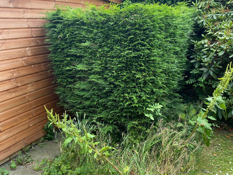Hendersons Ground Maintenance & Gardening gallery image 3