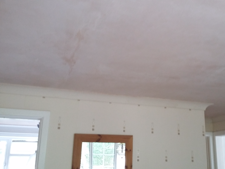 Spot on Plastering & Property Maintenence gallery image 1