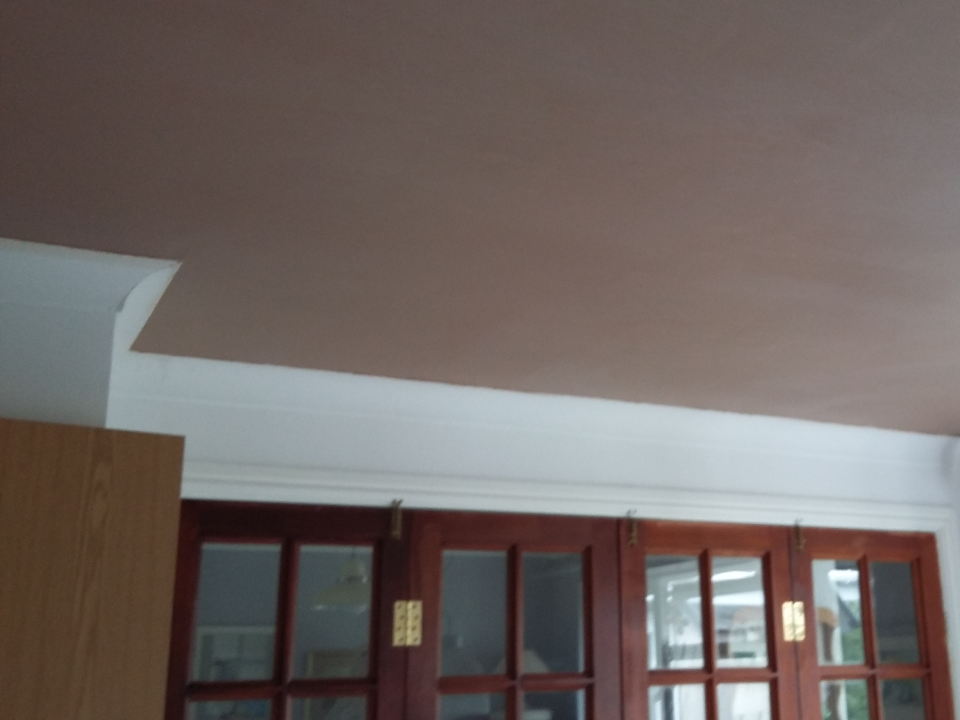 Spot on Plastering & Property Maintenence gallery image 4
