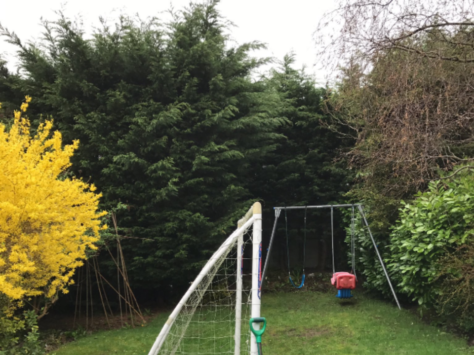 N P TREE CARE gallery image 2