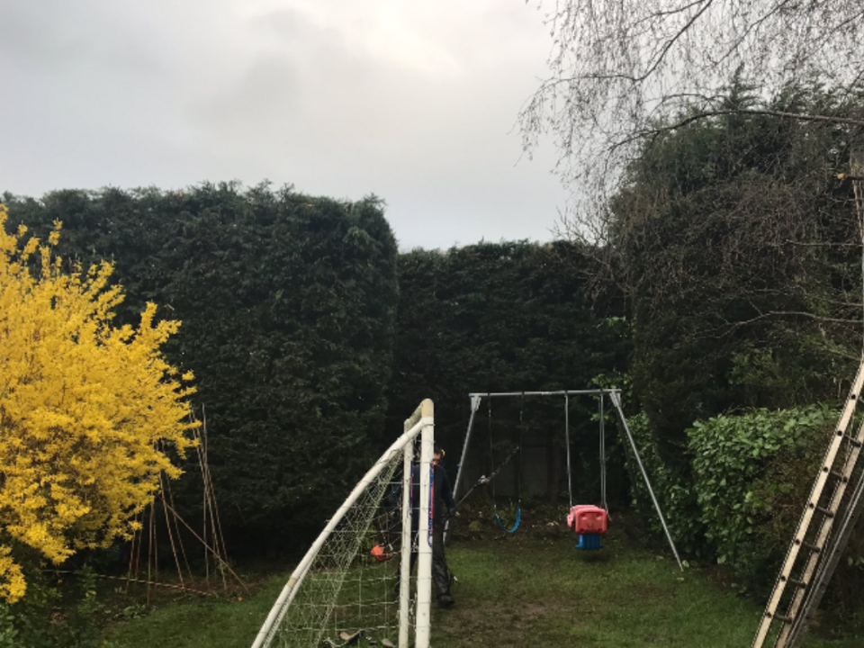 N P TREE CARE gallery image 3