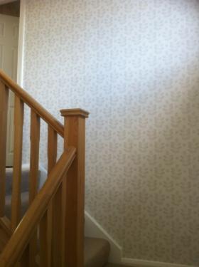 s.c decorators gallery image 1