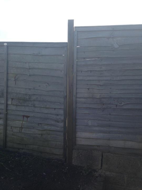 Bells Property Services gallery image 1