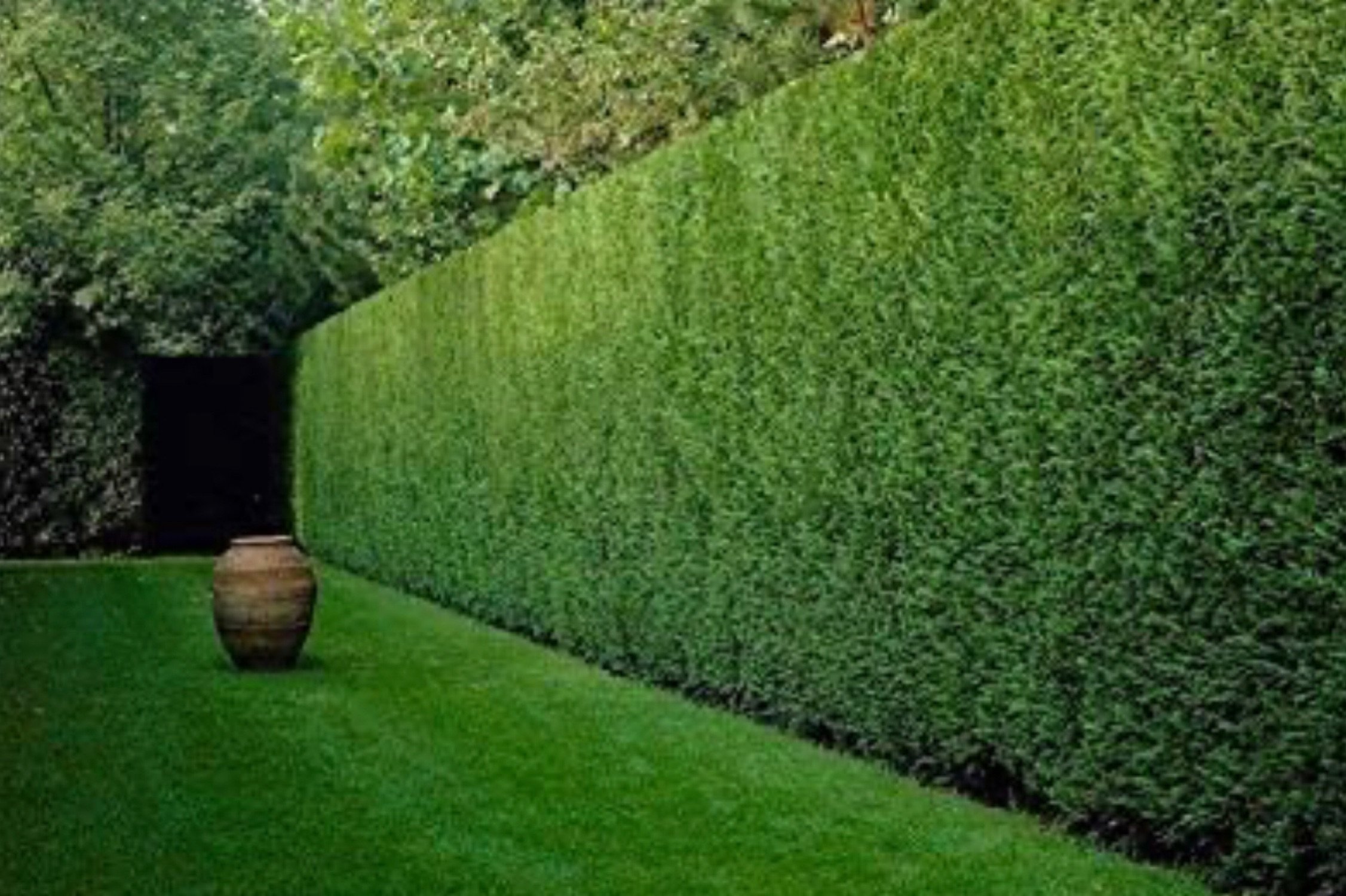 Cotswolds Tree & Gardens