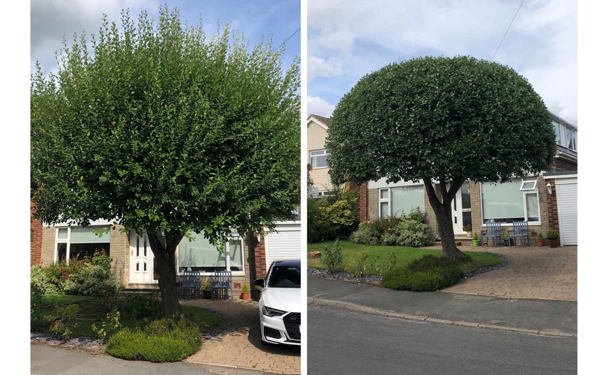 Country Cuts Gardening & Tree Care