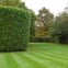 Advanced Cleaning & Gardening