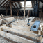 Roebuck Developments