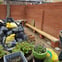 S&E Construction Services