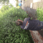 Garden and Home