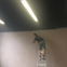 D and K Plastering and Building Services