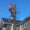 Midlands Tree and Garden Services