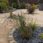 Living Landscapes Garden Design