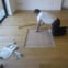 dawood flooring