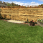 B.Piper Landscaping