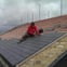Farnham Flat Roofing Services