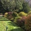 C&L landscaping