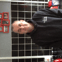 R.a.l Plumbing
